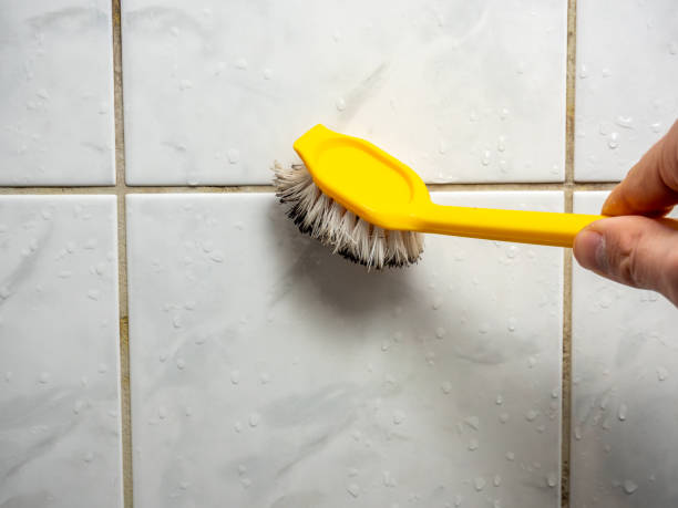 Best Mold Damage Repair  in Owings Mills, MD
