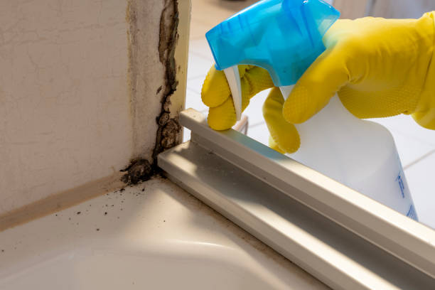 Best Office Mold Removal Services  in Owings Mills, MD